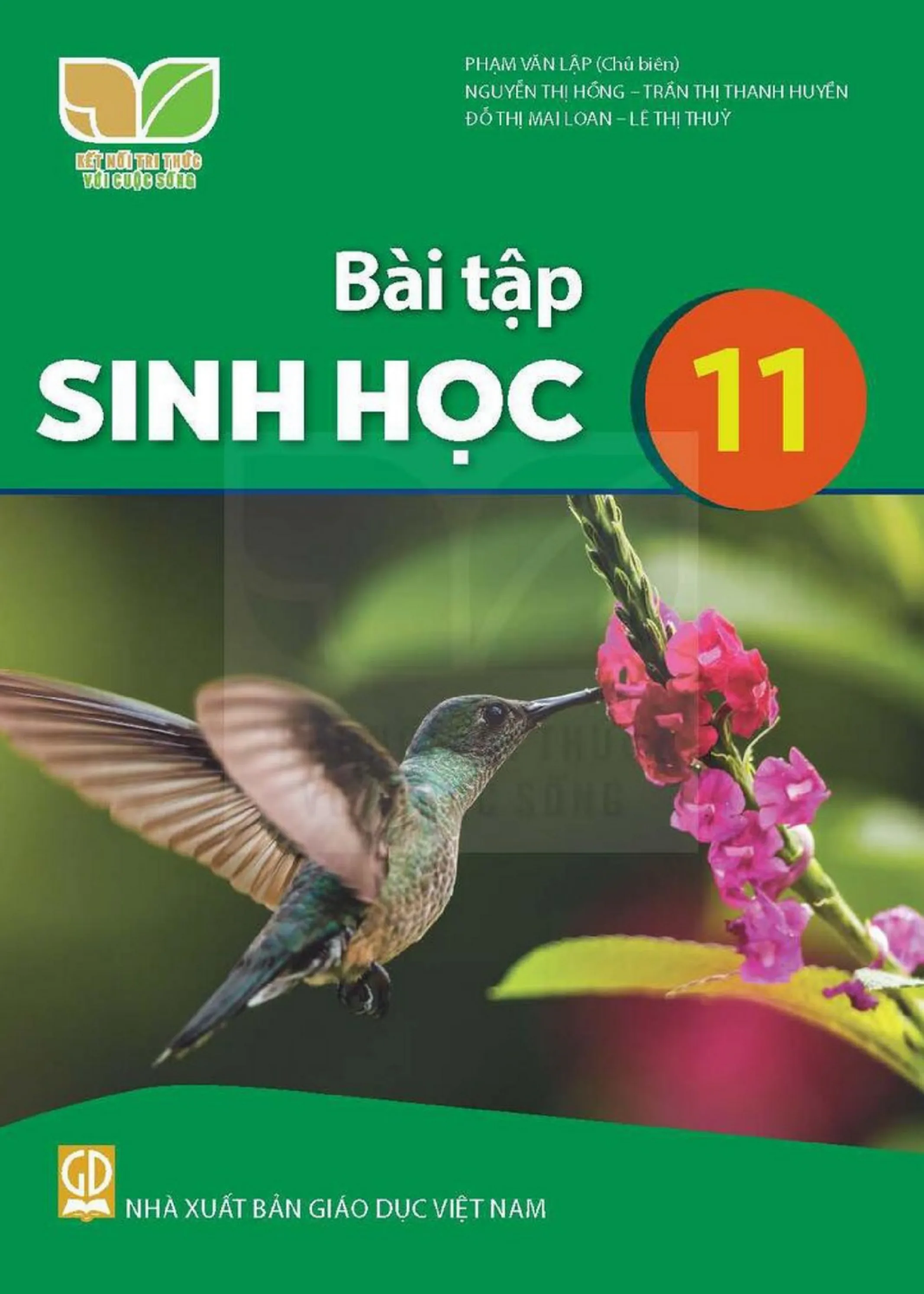 Bìa sách Sinh Học Lớp 11